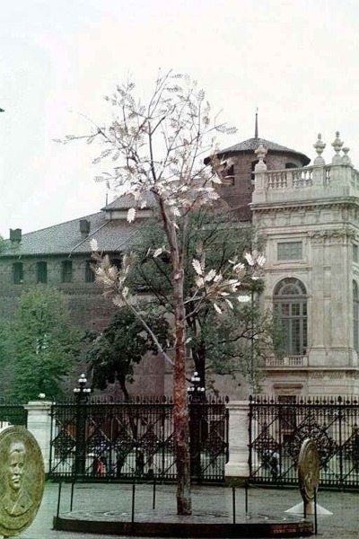 it torino 11638_14.jpg